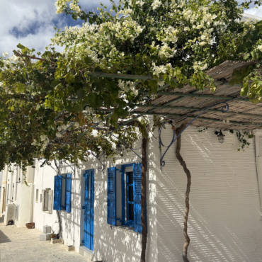 Screenshot 2026-01-30 at 12.20.06 PM