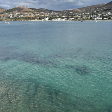 Screenshot 2026-01-30 at 12.21.04 PM